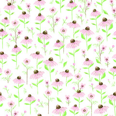 Seamless pattern with wild summer flowers. Meadow wildflower. Spring garden. Floral background for wallpaper, paper, textile, package