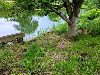 おとぎ話のような川原の風景