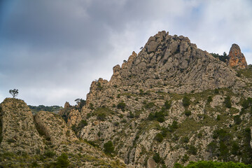 Fototapeta na wymiar Escenas del monte mediterráneo (Alicante)