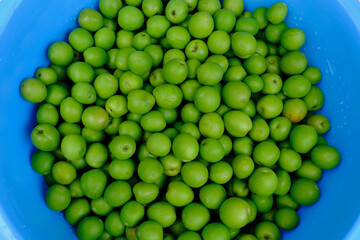 青梅