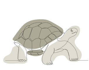 turtle, sketch, continuous line drawing, isolated