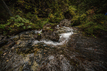 Mountain landscape. Misty forest. Natural outdoor travel background. Slovakia, Low Tatras, Demenovska hora and dolina vyvierania. Liptov travel. © Zedspider