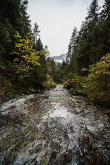 Mountain landscape. Misty forest. Natural river stream. Slovakia, Low Tatras, Demenovska hora and dolina vyvierania. Liptov travel. © Zedspider