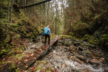 Mountain landscape. Misty forest. Natural outdoor travel background. Slovakia, Low Tatras, Demenovska hora and dolina vyvierania. Liptov travel. © Zedspider