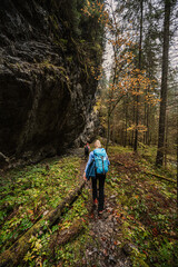 Mountain landscape. Misty forest. Natural outdoor travel background. Slovakia, Low Tatras, Demenovska hora and dolina vyvierania. Liptov travel. © Zedspider