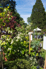 F&ecirc;te des plantes