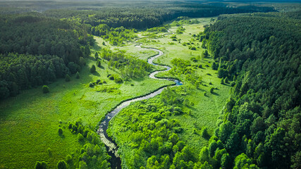 Bochtige rivier en moerasland. Luchtfoto van dieren in het wild in Polen.