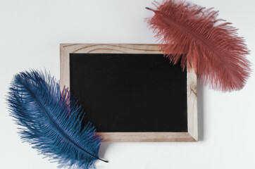 A dark slate with a red and blue feather decoration is a place for text. Dark board close-up.