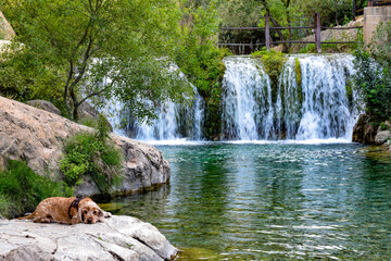 Paso de agua