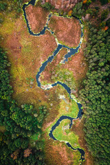 River and marshland in autumn. Aerial view of wildlife, Poland.