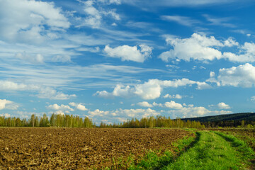 Wiosenny krajobraz natura