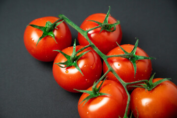 Red tomatoes on branch on a black background