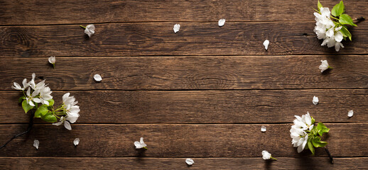 Fototapeta premium Blossom flowers on wooden background. Spring. Copy space.