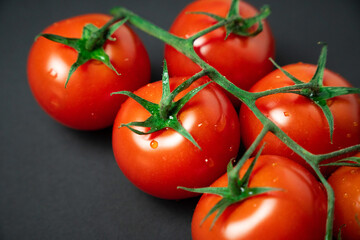Red tomatoes on branch on a black background