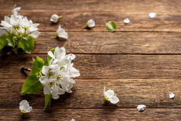 Blossom flowers on wooden background. Spring. Copy space.