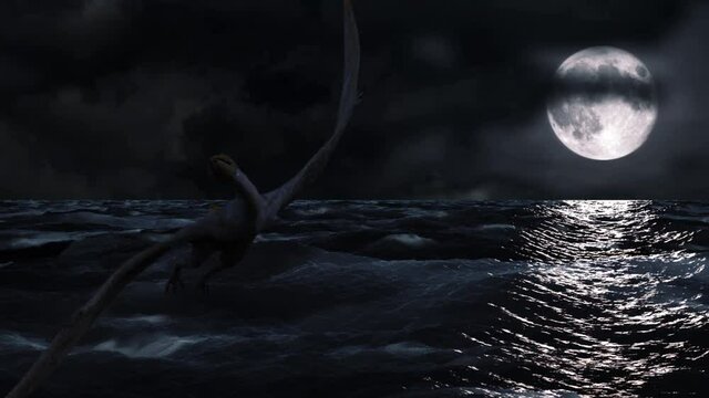 3d animation of Pterodactyl flying over see by night