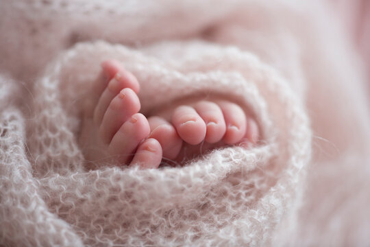 Two cute tiny baby feet wrapped in a pink knitted blanket. 