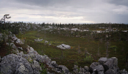 Vottovaara rock massif of the West Karelian Upland on the territory of the Sukkozersky rural settlement in the central part of the Republic of Karelia in summer