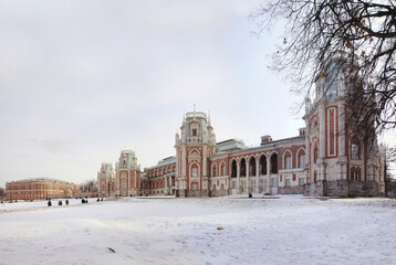 Fototapeta na wymiar Palace complex in Tsaritsyno on a sunny winter day in Moscow