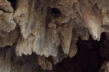 Detalles abstractos de las formaciones en la cueva de la Garita, cerca de la población de Chera, en la provincia de Valencia. Comunidad Valenciana. España. Europa