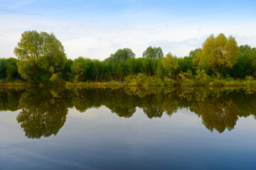 River bank with dense green forest and reflection in the water