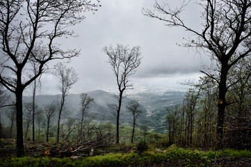 Magical places and hills of Tuscany  