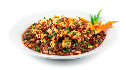 Sichuan Mapo Tofu with Ground Chicken in Red Chili Sauce Chinese Sichuan