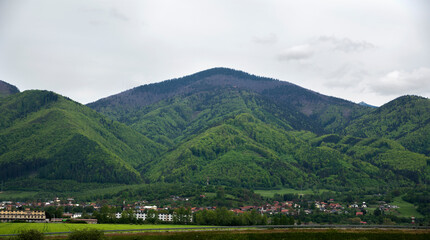 Town in the valley in the spring. Houses and apartment building in the forest