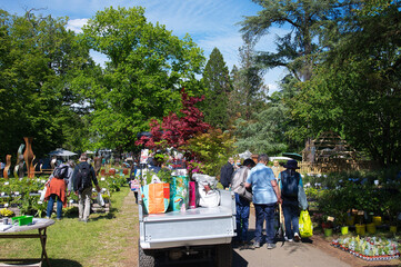 Fête des fleurs