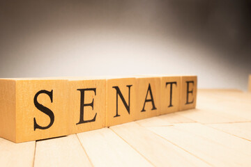 The word Senate was created from wooden cubes. Government and constitution