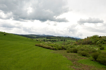 Green valley in the spring. Meadow and field with trees