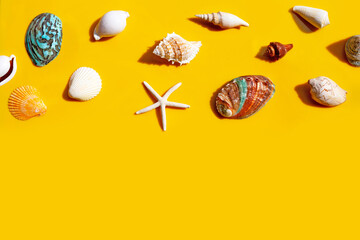 Composition of starfish and exotic sea shells on yellow background.