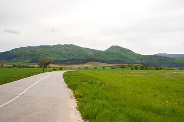 Road with the meadow, field and mountain in the spring