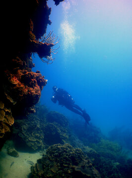 scuba diver , Caribbean sea , Curacao Island