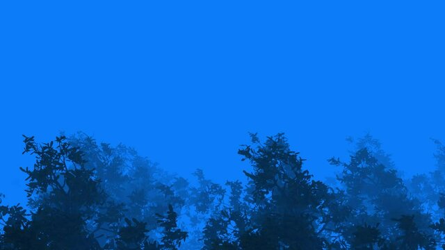 Trees Bend And Sway In Extreme Hurricane Wind on a blue cloud fog background. Trees under very strong wind. Stormy Silhouette Trees. 3d Loop with alpha mask