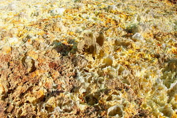 Multivented spring mound that ejects toxic gas at the Dallol Hot Springs site, in the Danakil Depression, Ethiopia