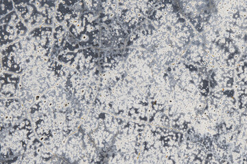 Grey Marble Patterned Texture Background for Interior Design