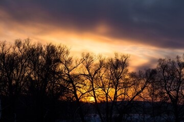 Colorful sunset behind the crowns of trees in winter