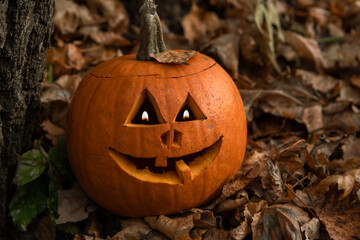 Close-up view of Jack O' Lantern face in the forest. Smiling face carved on orange pumpkin. Candle light in the eyes. Halloween theme.
