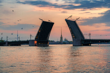 Fototapeta na wymiar White night in St Petersburg, Russia. Palace Bridge on Neva river, Peter and Paul Cathedral. 