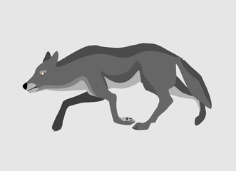Grey Wolf running . Powerfull of a dangerous predator animal. A wild  animal with gray fur. Side view. Vector illustration isolated on  white 
