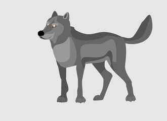 Fototapeta na wymiar Grey Wolf looks in standing pose . Powerfull of a dangerous predator animal. A wild animal with gray fur. Front view. Vector illustration isolated on white 