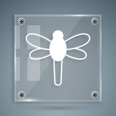 White Dragonfly icon isolated on grey background. Square glass panels. Vector