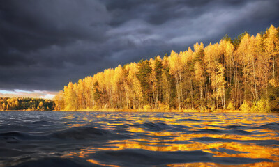 Golden reflections of coastal autumn forest with dramatic sky at golden hour. North Europe, Baltic sea, gulf of Finland