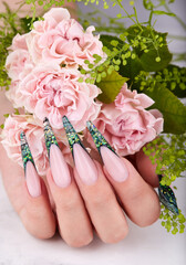 Hand with long artificial green french manicured nails and pink rose flowers. Fashion and stylish manicure.