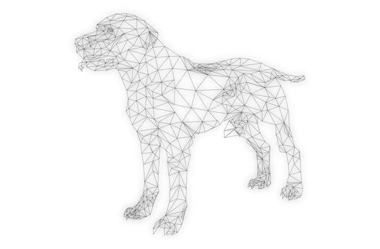 This is an image of low poly line art of dog.