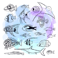 Obraz premium Vector set of fishes. Outline sea elements are isolated on white. Beautiful underwater flora and fauna. Aquarium, ocean, and undersea water life in hand-drawn or cartoon style.