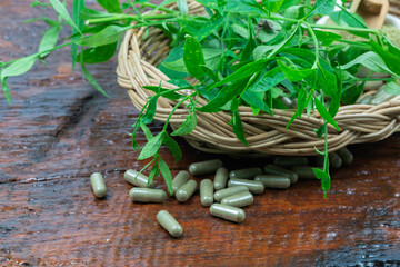 Andrographis Paniculata in basket on wooden background.