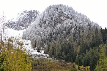 Granica śniegu w górach (Alpy austriackie) - obrazy, fototapety, plakaty
