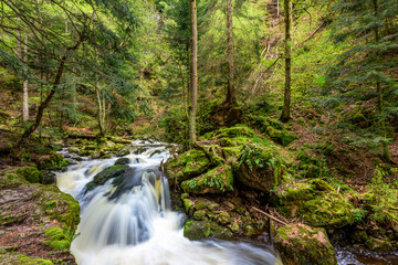 Waterfall in a forest, Ravenna Canyon in Hell Valley, Hinterzarten, Black Forest, Germany